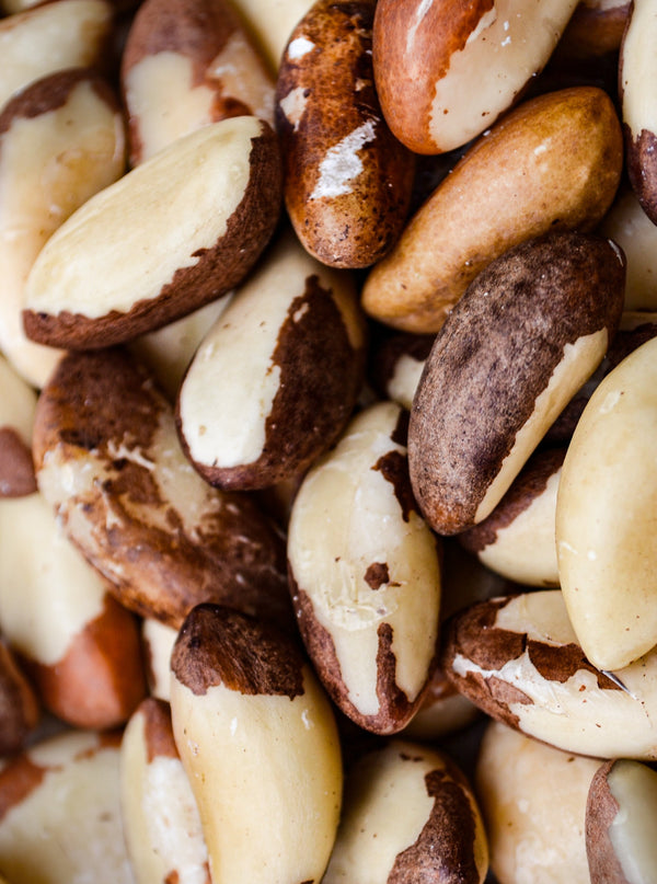 Brazils: Unblanched Medium RAW - Hillson Nut Company
