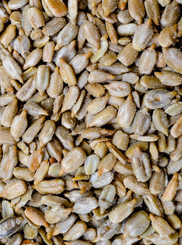 Sunflower Seeds Salted - 1# - Hillson Nut Company