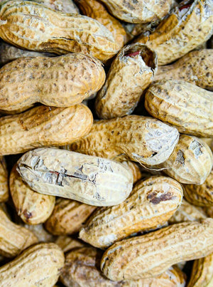 Peanuts In Shell - Hillson Nut Company